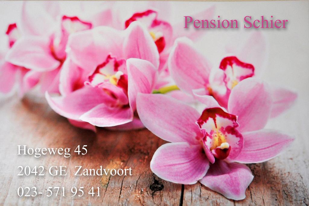 Pension Schier Zandvoort Exterior foto
