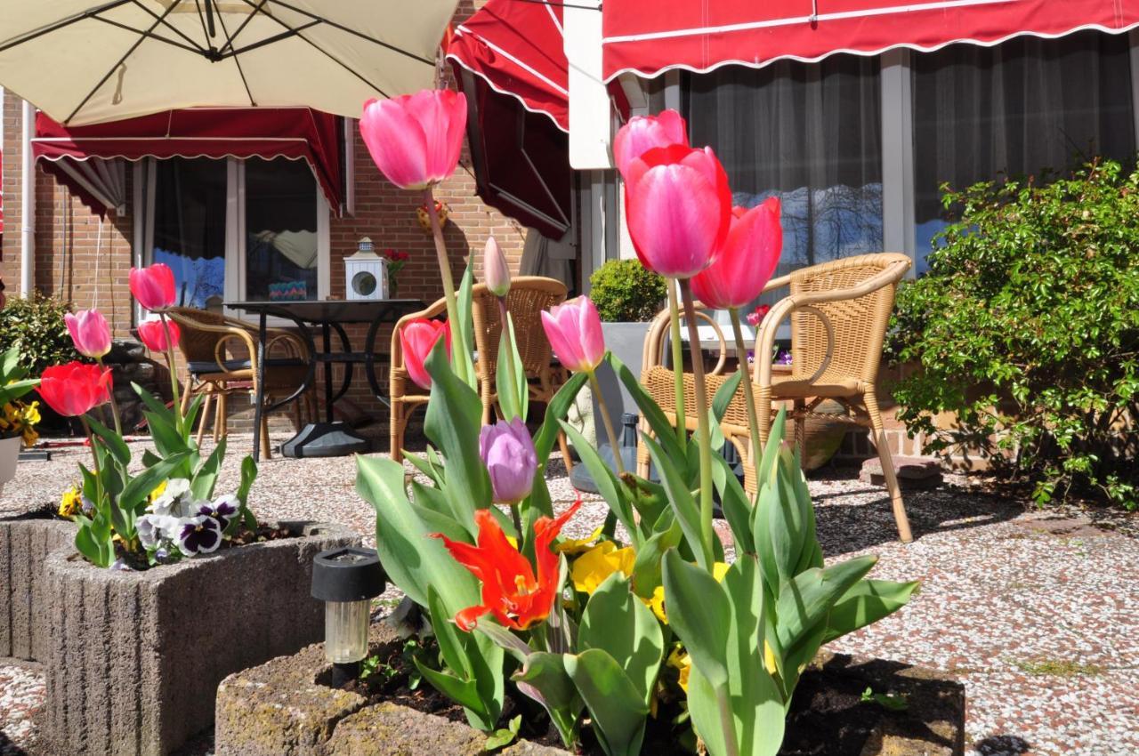 Pension Schier Zandvoort Exterior foto
